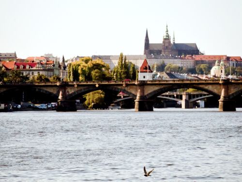 V peticích zájemců o hrad jsou chyby, kontrola podpisů pokračuje