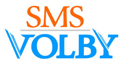 SMS Volby - Průzkum veřejného mínění k prezidentským volbám 2013